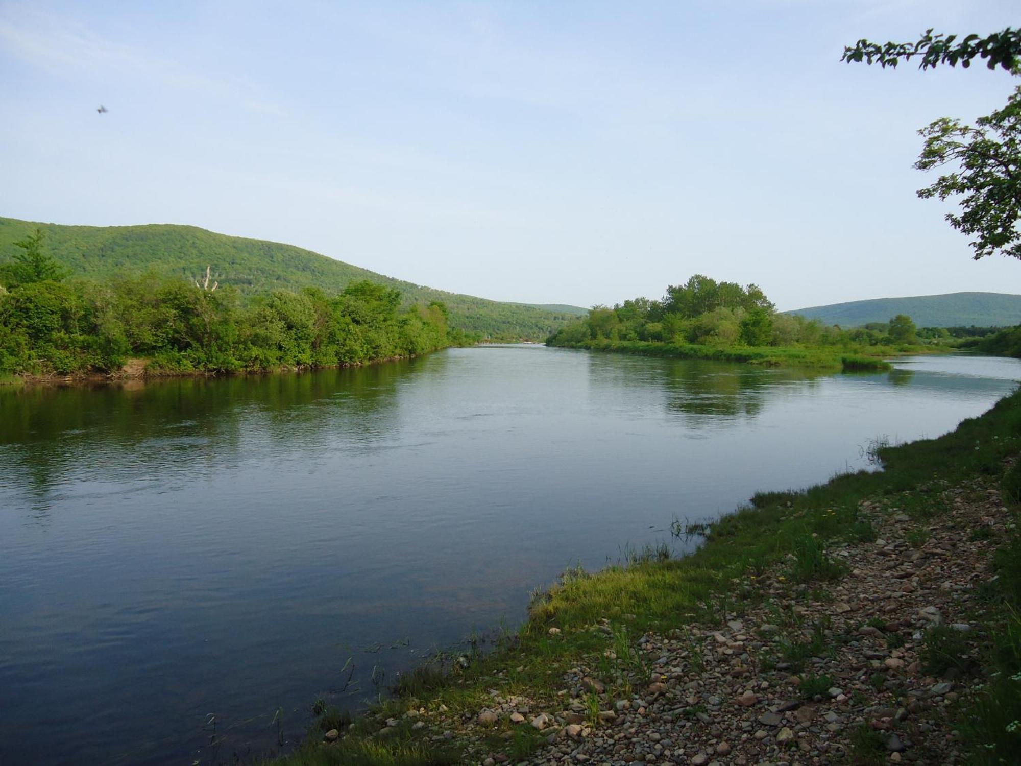 Cajun Cedar Log Cottages Margaree Forks Екстер'єр фото