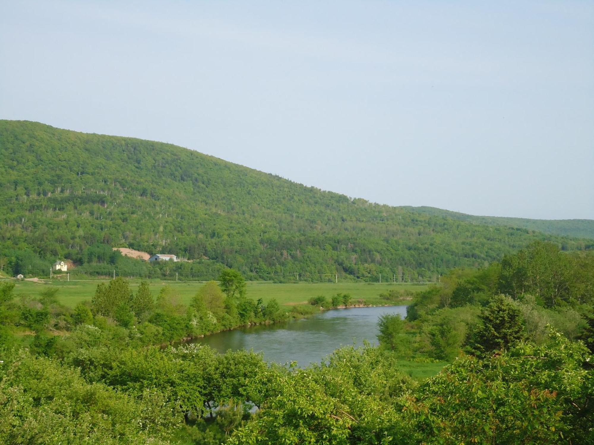 Cajun Cedar Log Cottages Margaree Forks Екстер'єр фото