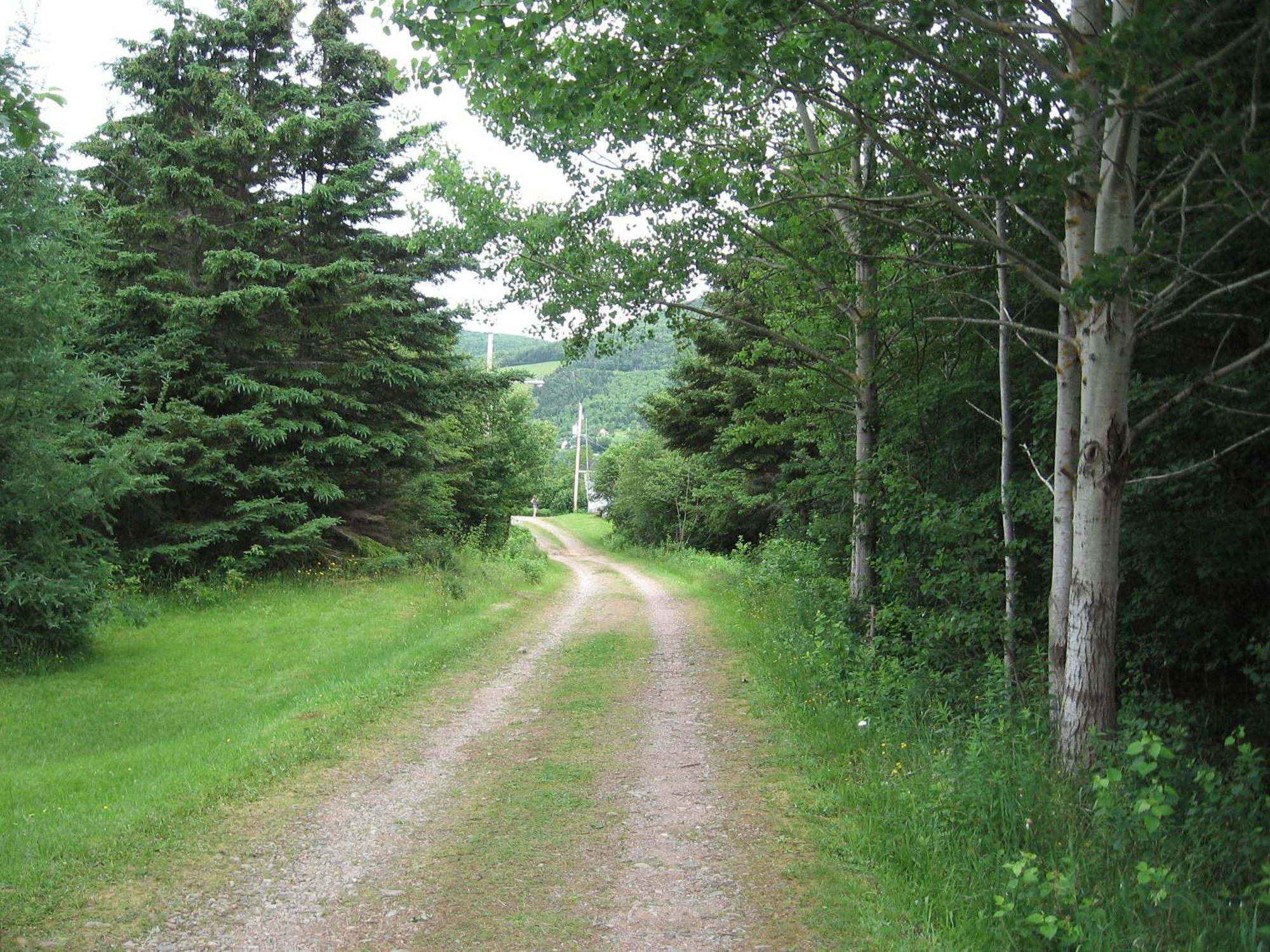 Cajun Cedar Log Cottages Margaree Forks Екстер'єр фото