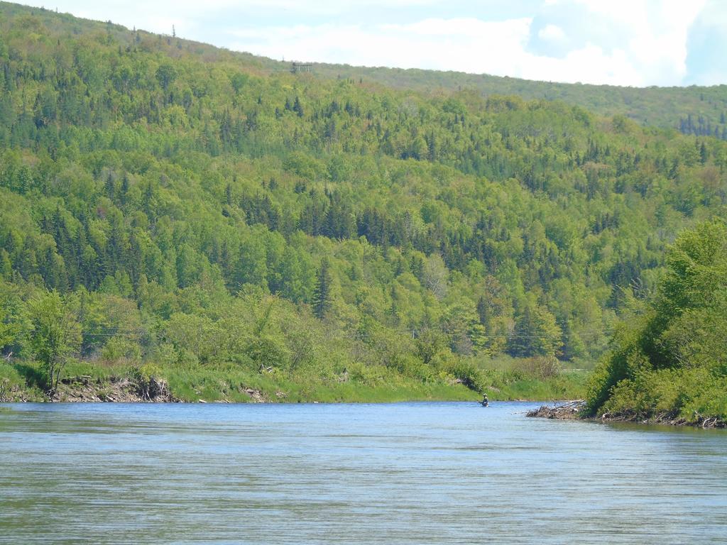 Cajun Cedar Log Cottages Margaree Forks Екстер'єр фото