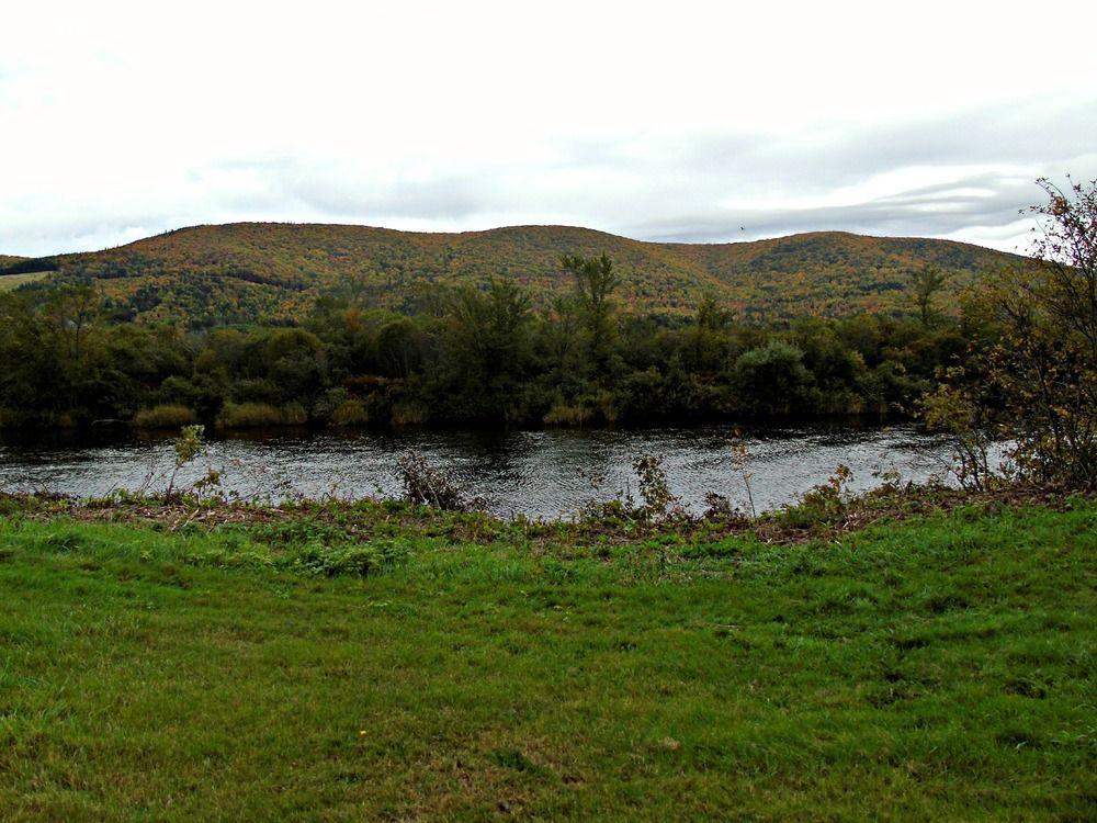 Cajun Cedar Log Cottages Margaree Forks Екстер'єр фото