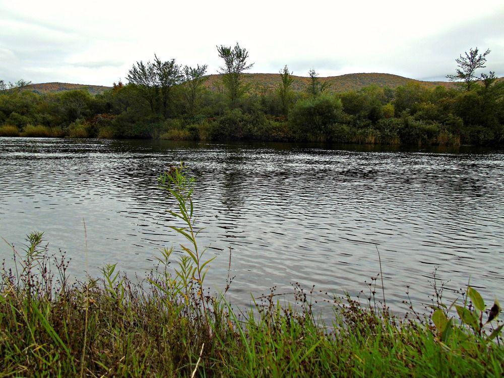 Cajun Cedar Log Cottages Margaree Forks Екстер'єр фото