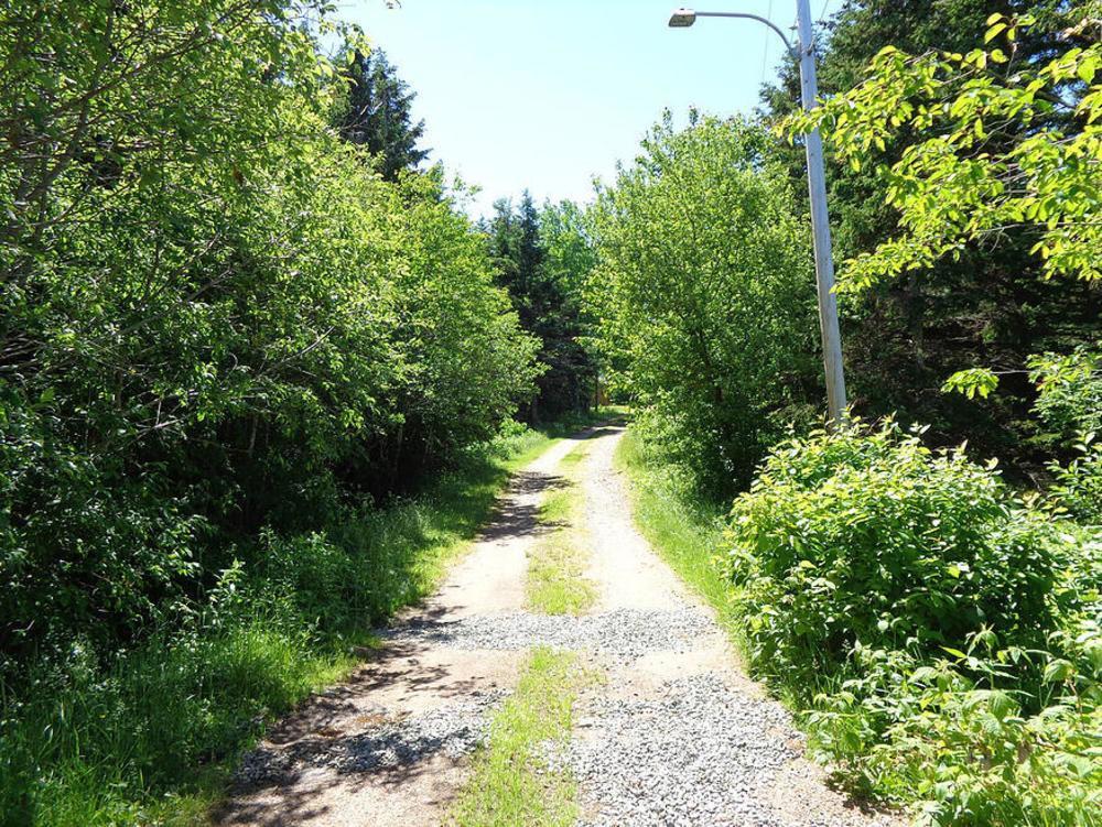 Cajun Cedar Log Cottages Margaree Forks Екстер'єр фото