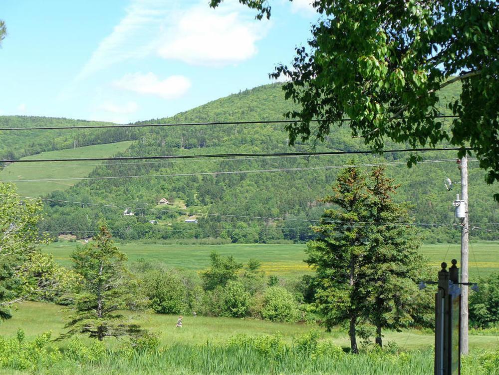 Cajun Cedar Log Cottages Margaree Forks Екстер'єр фото