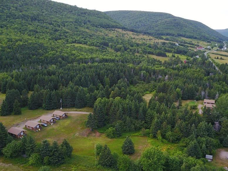 Cajun Cedar Log Cottages Margaree Forks Екстер'єр фото