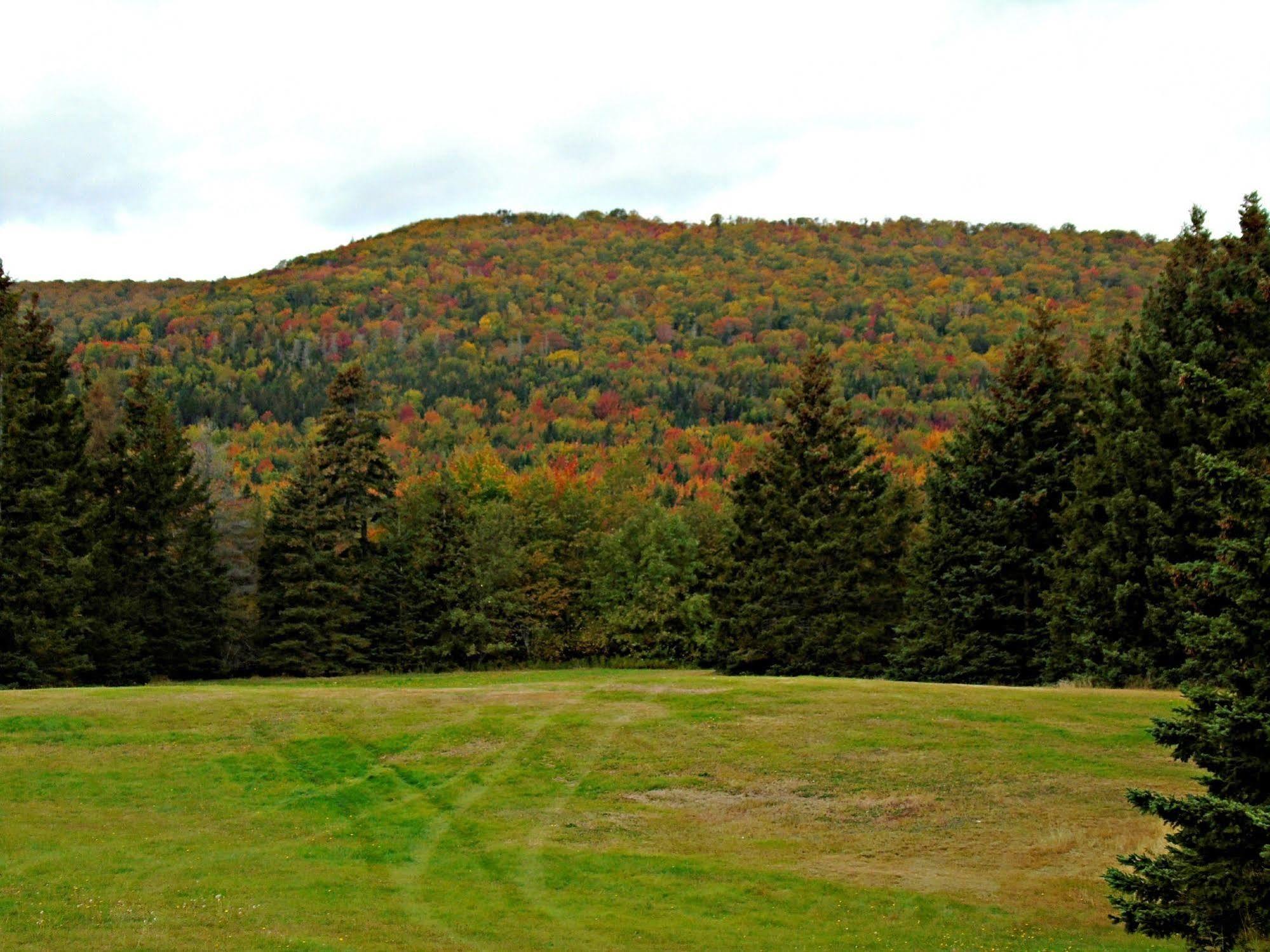 Cajun Cedar Log Cottages Margaree Forks Екстер'єр фото